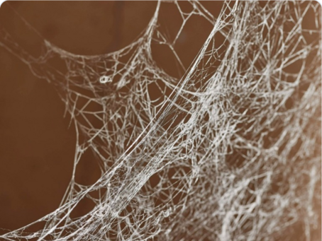 Fortifying the Agentic Web: A Unified Zero Trust Architecture Against Logic-Layer Threats